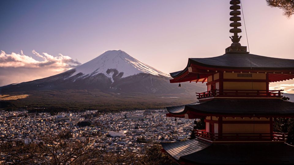 1-Day Trip: Mt Fuji Kawaguchi Lake Area - Tips for a Successful Trip