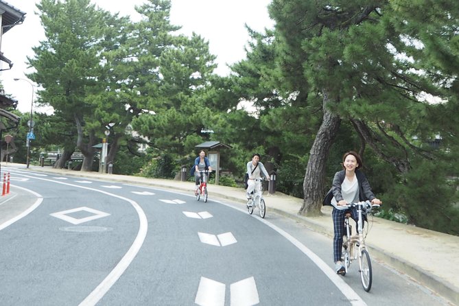 An E-Bike Cycling Tour of Matsue That Will Add to Your Enjoyment of the City - Enhancing Your Matsue Adventure With E-Bikes