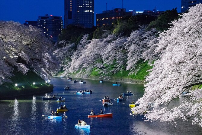 Cherry Blossom Private Tour - Tips for a Memorable Cherry Blossom Experience
