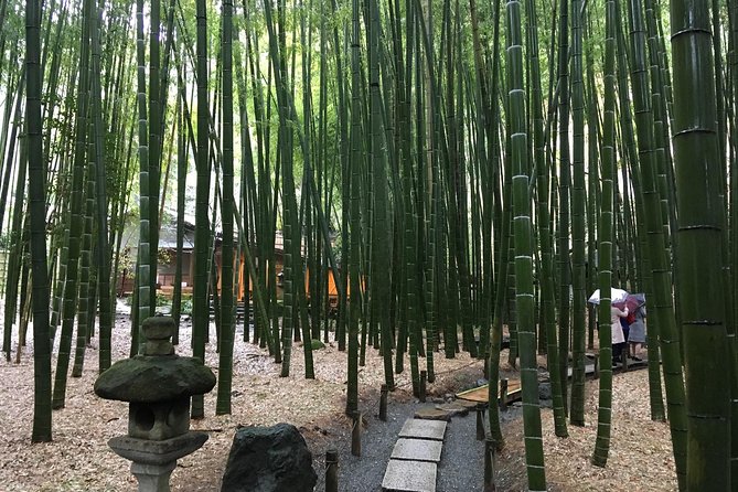 Exciting Kamakura - One Day Tour From Tokyo - Positive Feedback Highlights and Standout Experiences