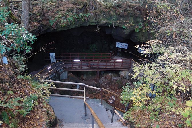 Experience the Stunning Nature of Mt.Fuji - Private Tour - Safety Guidelines