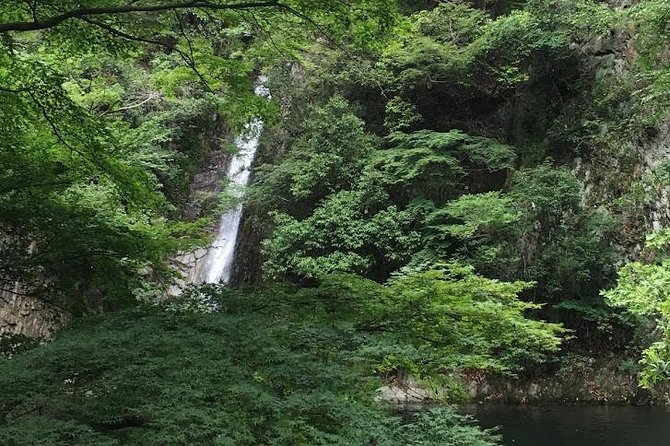 Kobe Private Tour From Osaka (Shore Excursion Available From Osaka or Kobe Port) - Questions? Viator Help Center