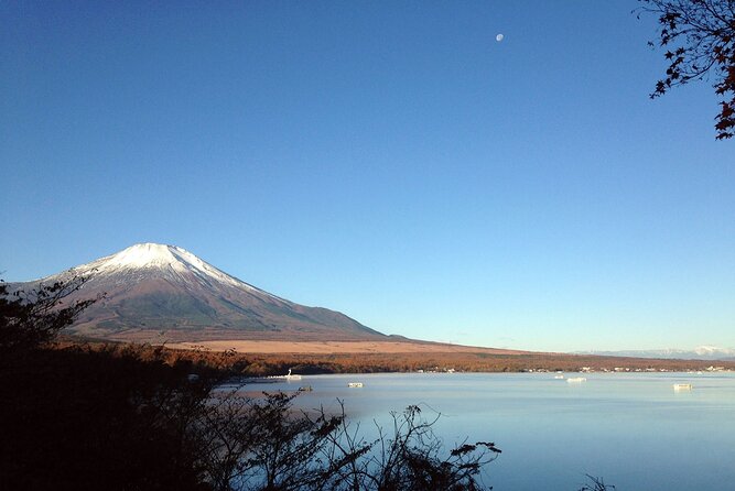 Mt Fuji Full-Day Tour By Car - Visit Extraordinary Sites in the Area