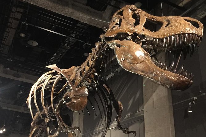 Nagoya / Aichi Full-Day Private Custom Tour With National Licensed Guide - Transportation Costs