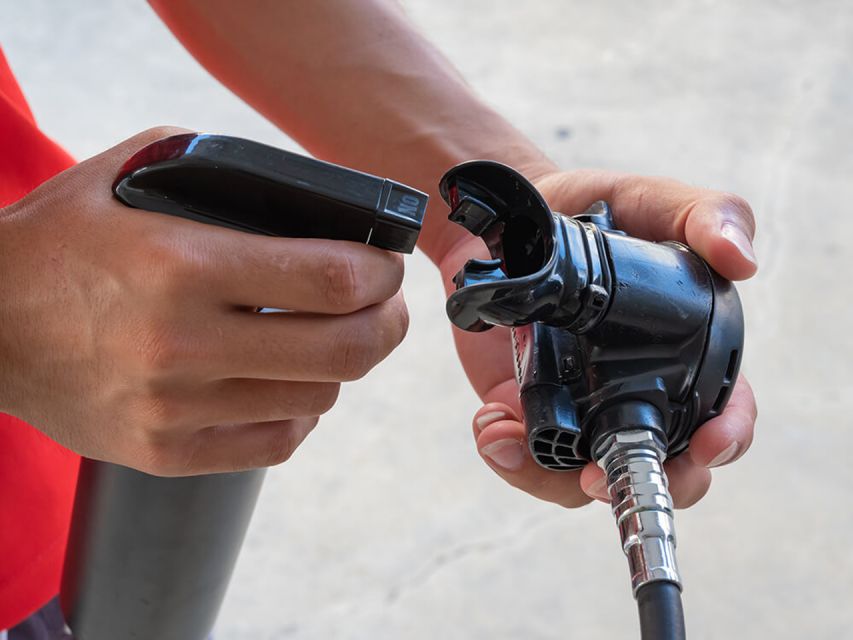 Naha, Okinawa: Kerama Islands Half-Day Whale Watching Tour - Frequently Asked Questions