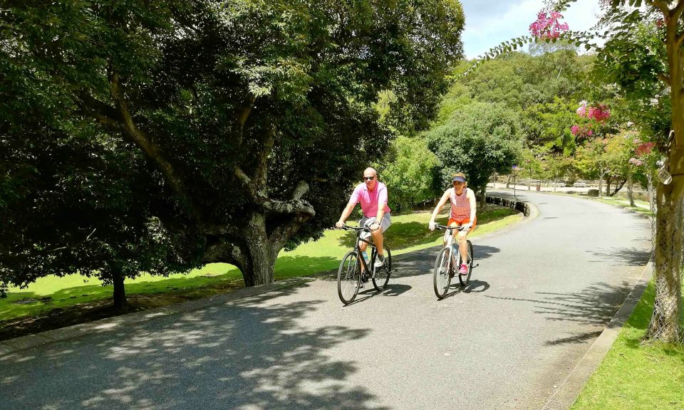 Nara: City Highlights Shared Group or Private Bike Tour - Testimonials From Satisfied Participants