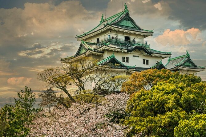 Nara, Todaiji Temple & Kuroshio Market Day BUS Tour From Osaka - Tour Guide Highlights
