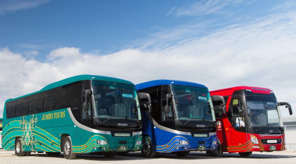 Okinawa: Full-Day Bus Tour to Yanbaru National Park - Guided Walk and Visit to Yanbaru Forest Visitor Center