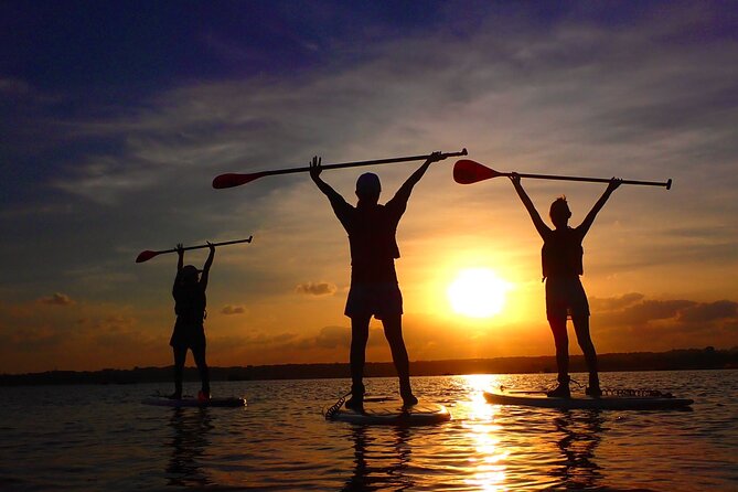 Okinawa Iriomote Sunset SUP/Canoe Tour in Iriomote Island - Contact and Customer Support Information