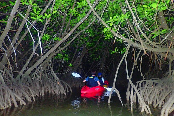 [Okinawa Miyako] Great Adventure! Starry Night Canoe!! - Weather and Minimum Travelers Requirements
