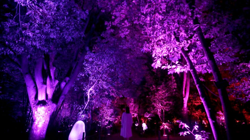 Osaka: Teamlab Botanical Garden Entry Ticket - Review Summary and Additional Information