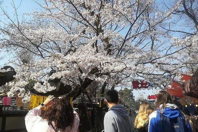 Private Full-Day Cherry-Blossom Tour of Tokyo With Tsukiji - Frequently Asked Questions