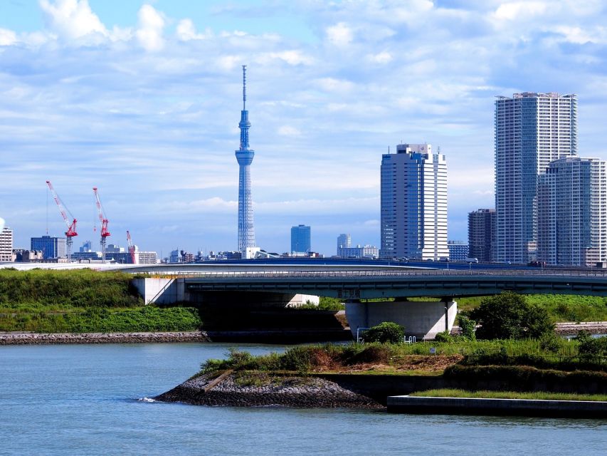 Tokyo: 1-Day Private Customizable Tour by Car - Directions