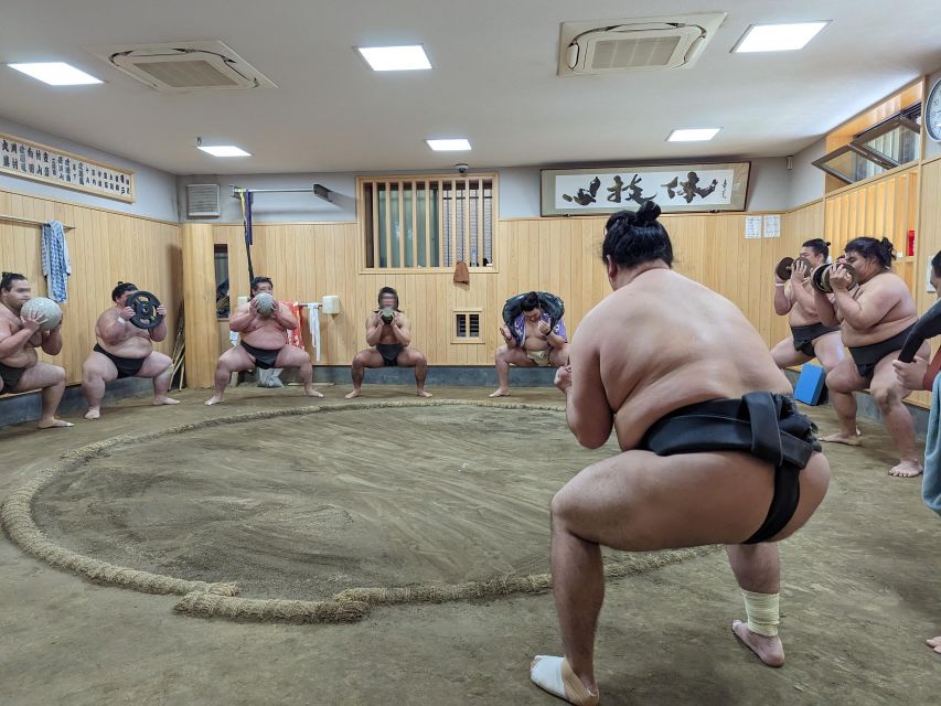 Tokyo: Morning Sumo Practice Viewing - Customer Reviews