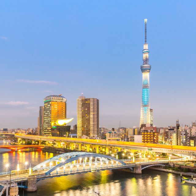 Tokyo Private Sightseeing Customizable Day Tour by Car & Van - Itinerary Flexibility