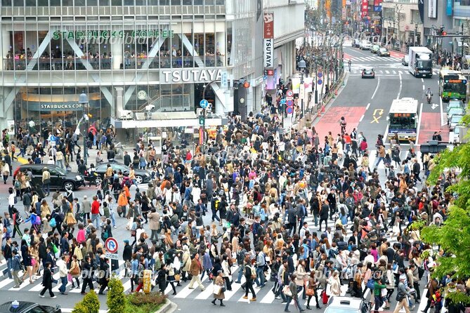 Tokyo Tour, From/To, Yokohama City, Tokyo City and TDR Area - The Sum Up