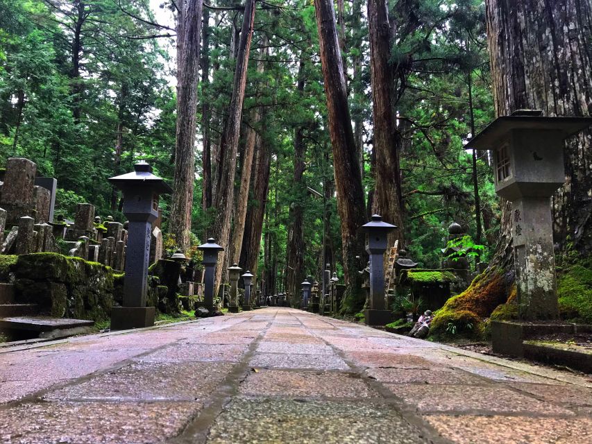 Wakayama: Mt. Koya Private Walking Tour With Local Guide - The Sum Up