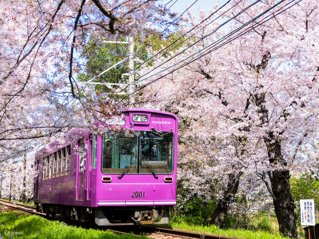 Arashiyama Gourmet Coupon Randen 1 Day Free Ticket - The Sum Up