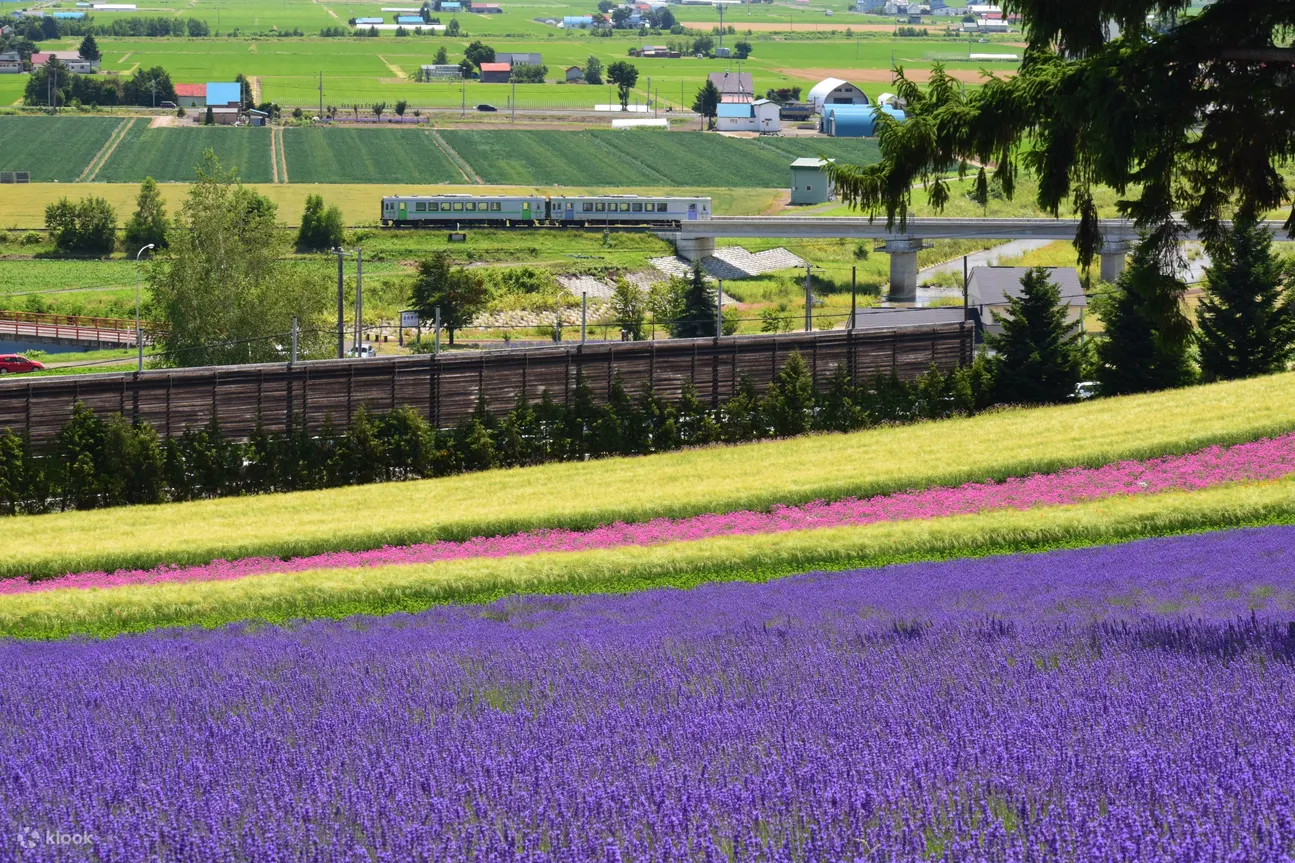 JR Hokkaido Sapporo-Furano Area Pass - The Sum Up