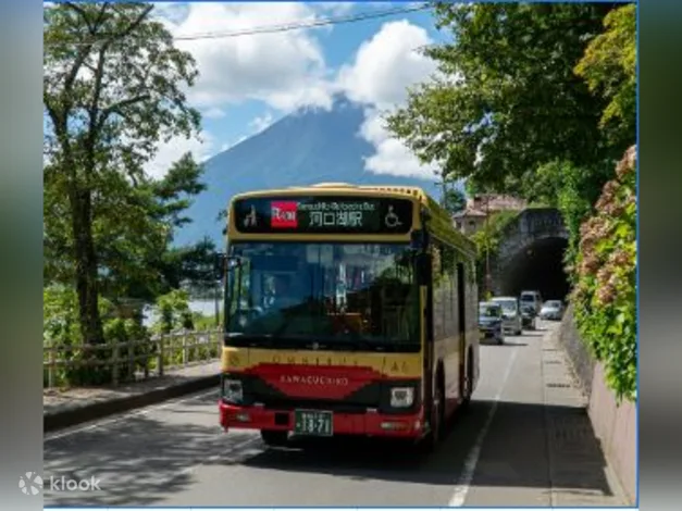 Mt. Fuji Pass - What is it?