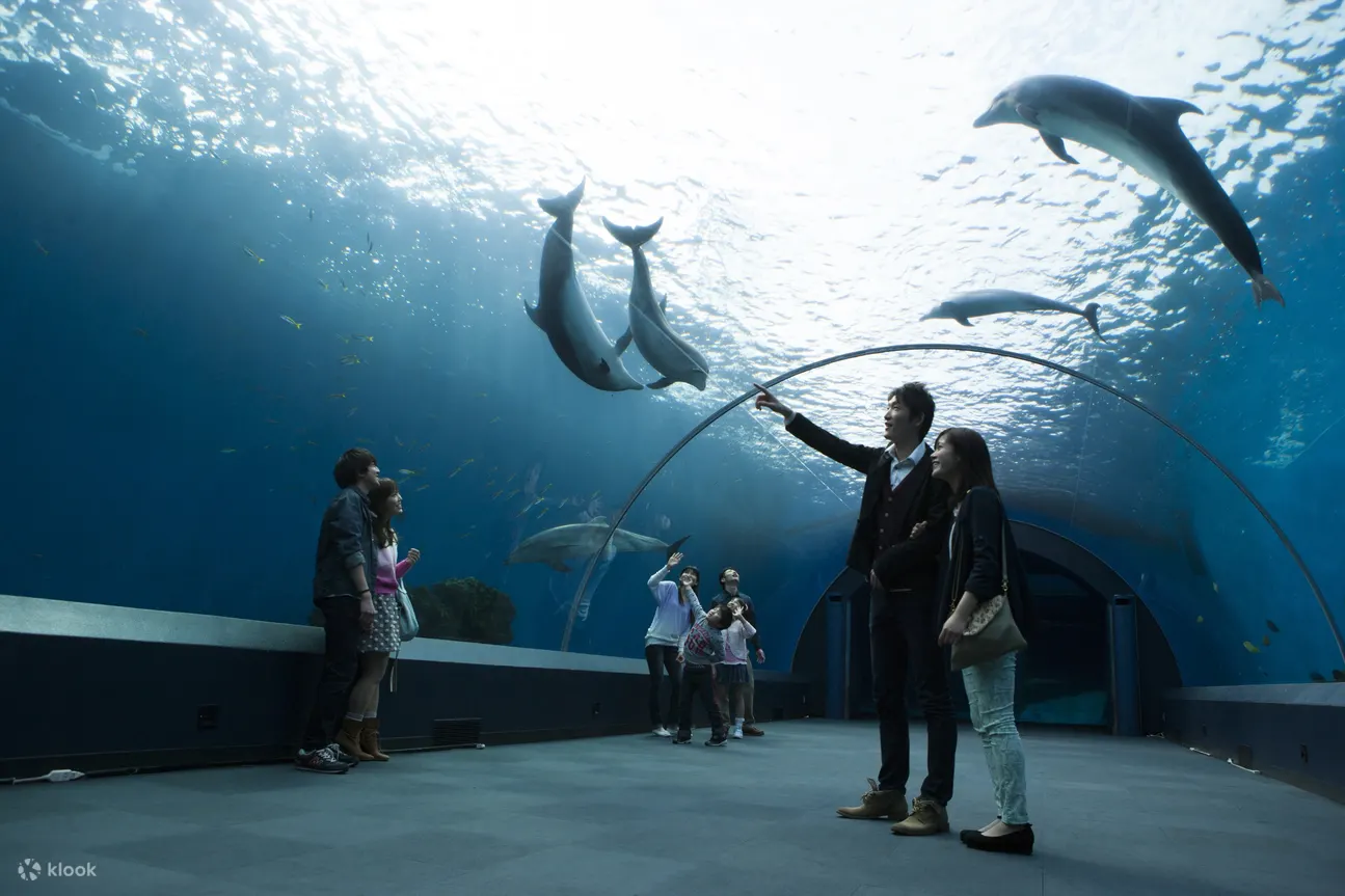 Yokohama Hakkeijima Sea Paradise Ticket - Key Takeaways