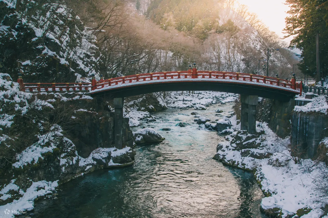 NIKKO PASS Dynamic Voucher - Key Takeaways