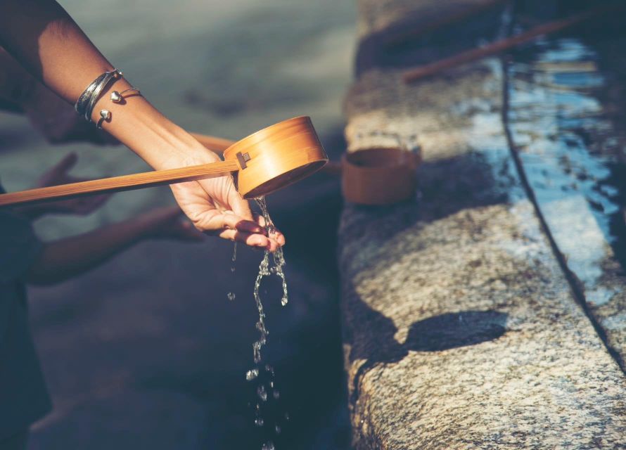 1-Day Trip: Mt Fuji Kawaguchi Lake Area - Booking and Contact Information