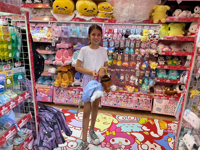 Akihabara Private Anime& Gaming Food Tour - Itinerary