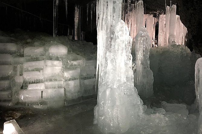 Experience the Stunning Nature of Mt.Fuji - Private Tour - Booking and Contact Information