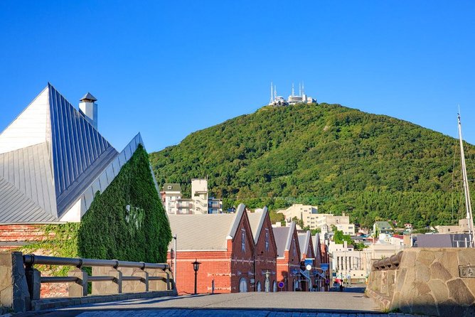 Hakodate Full-Day Private Tour With Government-Licensed Guide - Traveler Reviews and Ratings