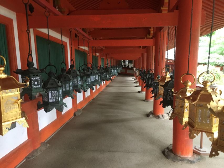 Nara: Half-Day UNESCO Heritage & Local Culture Walking Tour - Scenic Views of Nara City