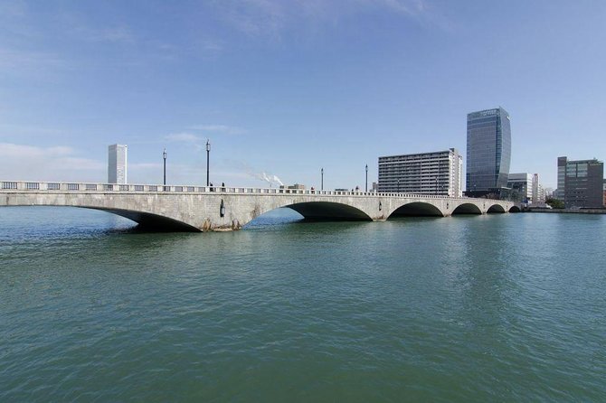 Niigata Full-Day Private Tour With Government-Licensed Guide - The Sum Up