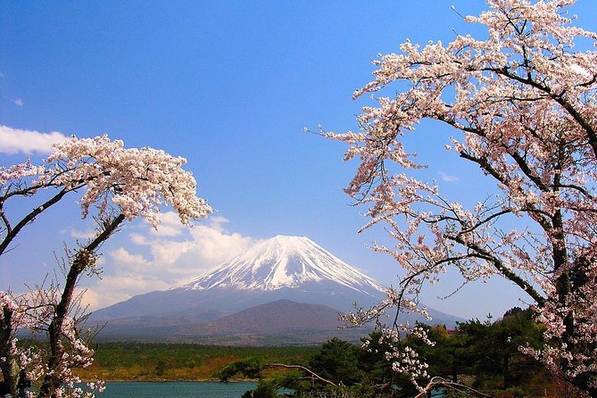 Private Transport Mt Fuji and Hakone 1 Day Trip - Frequently Asked Questions