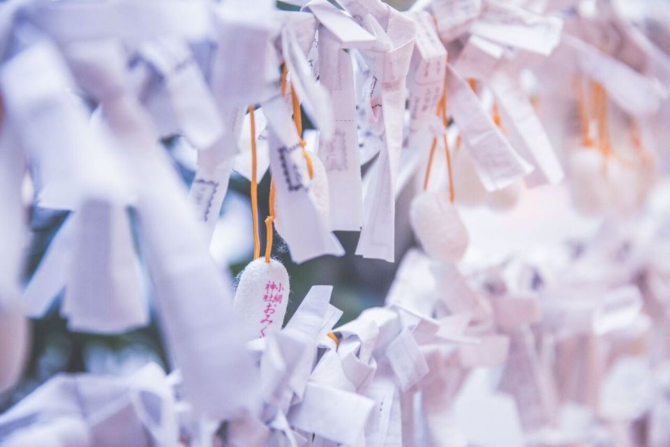 Tokyo: Japan's Cultural Curiosities Walking Tour - Customer Reviews