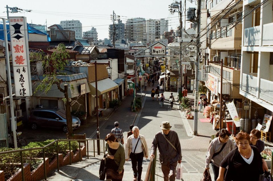 Tokyo: Off the Beaten Path Private Guided Tour - Old-Japan Charm of Yanaka Ginza