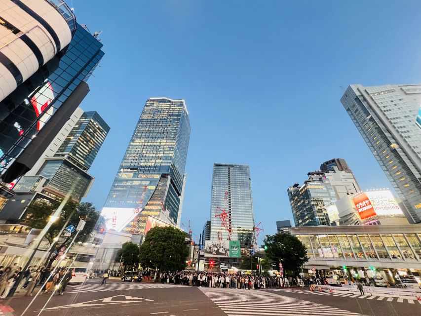 Tokyo Private Sightseeing Customizable Day Tour by Car & Van - Expert Guides