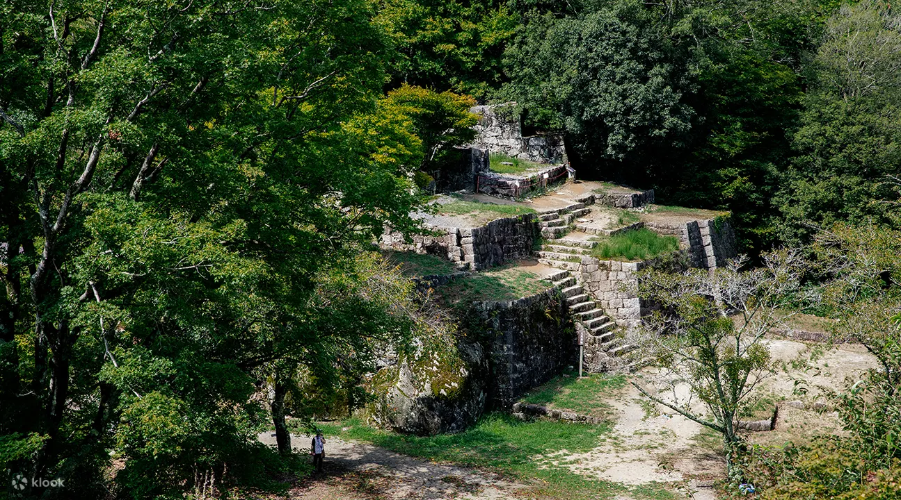 Shoryudo Highway Bus Pass (3 Or 5 Days): How To Buy Online In 2023 - Limitations and Restrictions