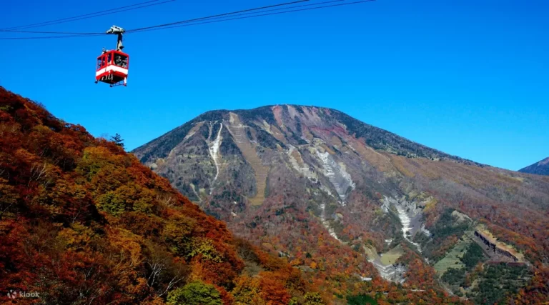 Nikko Travel Pass: Transport From Tokyo City Center