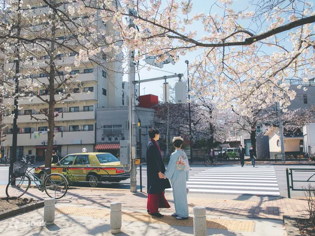 Kimono And Yukata Rental At Kimono Miyabi In Tokyo Asakusa: Reserve Online