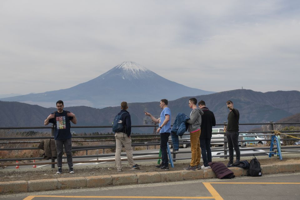 From Tokyo: Private Scenic Day Trip to Hakone - The Sum Up