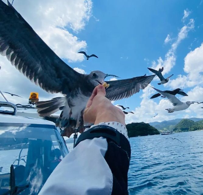 Osaka: Kyoto Coast, Amanohashidate and Ine Bay 1-Day Trip - The Sum Up