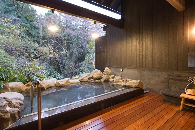 Private Transport Mt Fuji and Hakone 1 Day Trip - The Sum Up