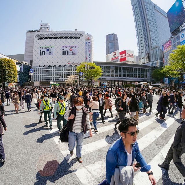 Tokyo Private Sightseeing Customizable Day Tour by Car & Van - The Sum Up