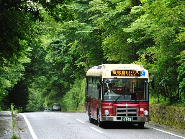 Hakone Kamakura 3-Day Ticket Pass Voucher: Where To Buy & Is It Worth it?