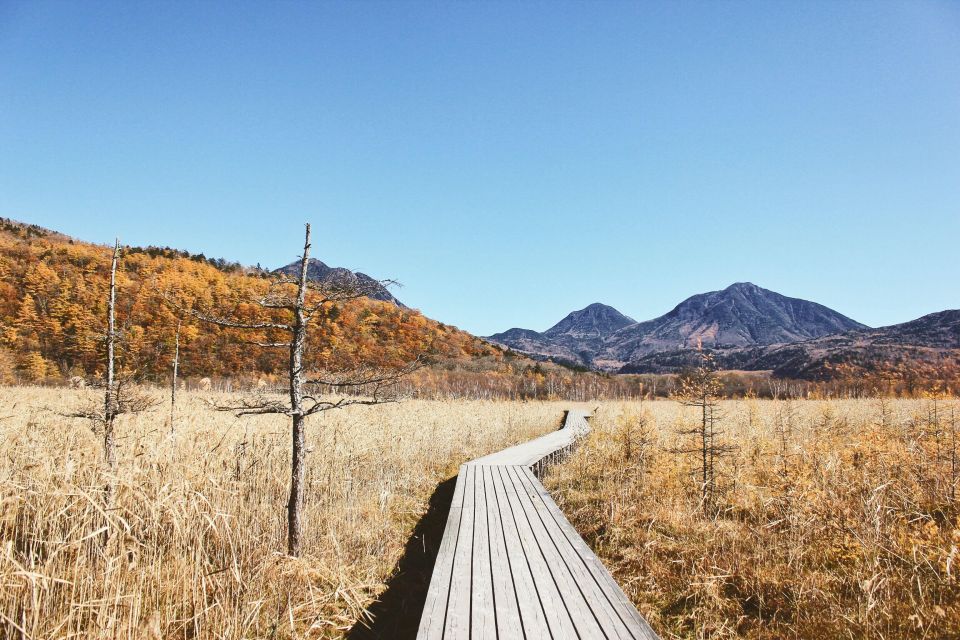 From Tokyo: Private Day Trip to Nikko - The Sum Up