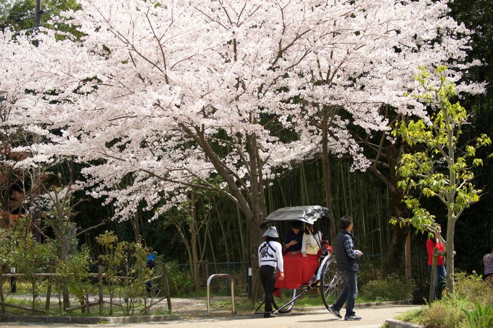 Kyoto: Arashiyama Customized Rickshaw Tour & Bamboo Forest - The Sum Up