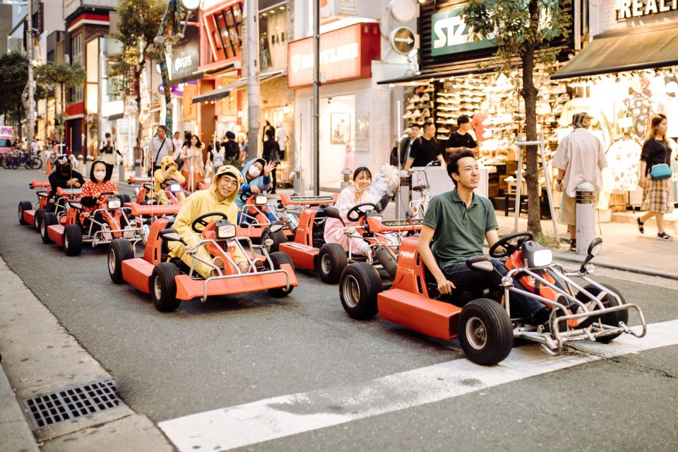 Osaka: Bespoke Family Friendly City Tour - The Sum Up