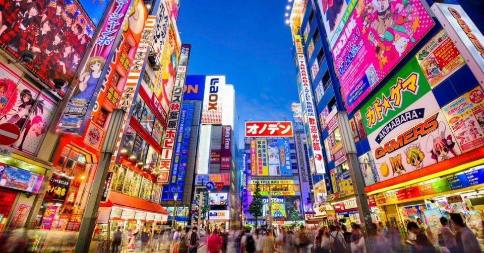 Tokyo: Winter Illuminations Private Tour With a Local - The Sum Up