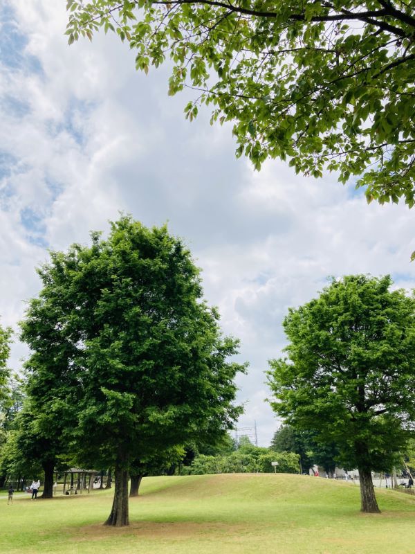 Akishima City Eco Park