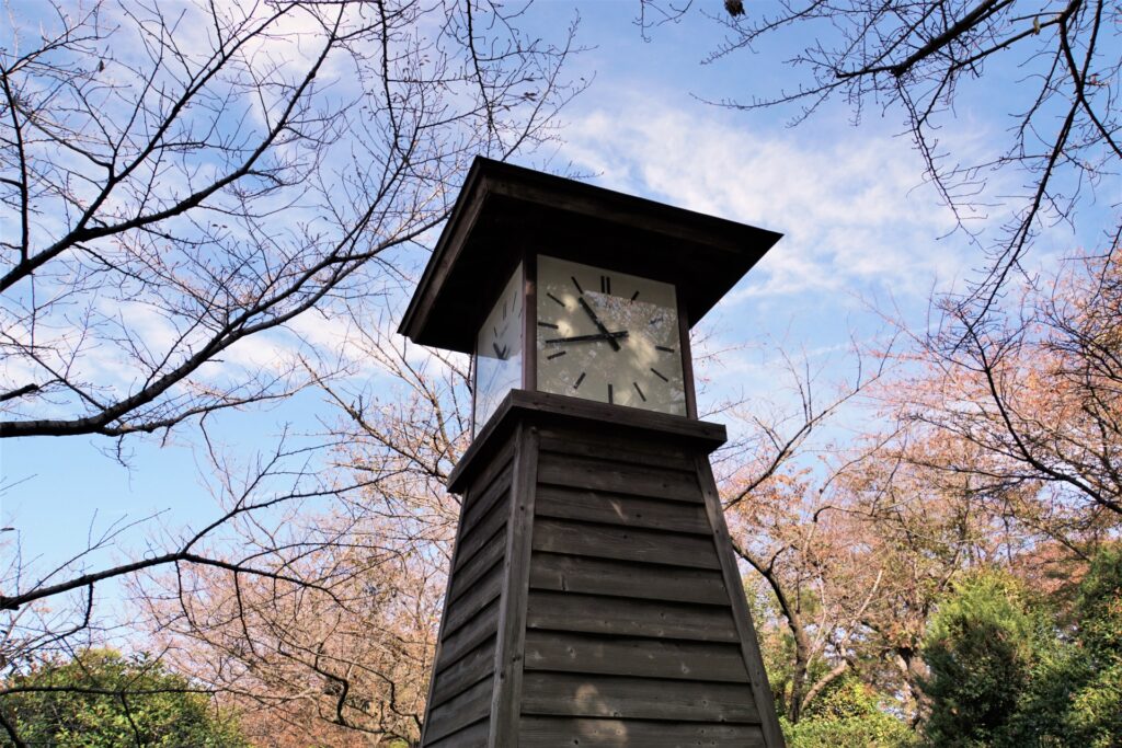 Asukayama Park Cherry Blossom Kita Tokyo